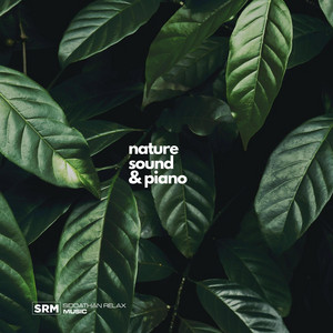 Siddathan Relax Music - Water Fall Relaxing