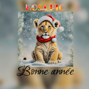 Bonne année by KOSA PIC