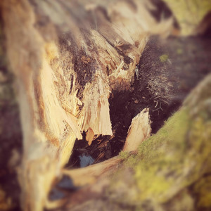 Sarppa - Mun taivas ja maa