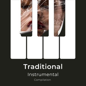 zZz Traditional Instrumental Compilation zZz album