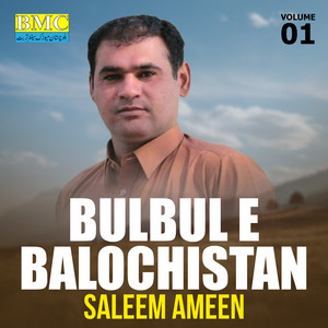 Saleem Amin - Nachara Man Nachara