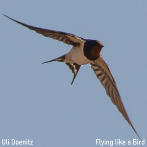 Flying like a Bird by Uli Doenitz