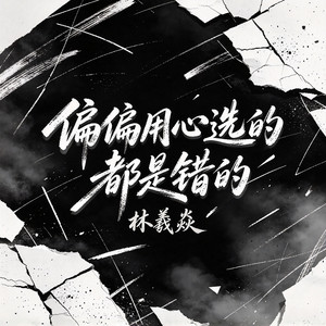 偏偏用心选的都是错的 by 林羲焱