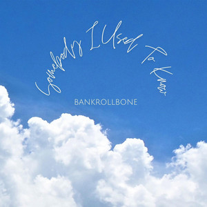 Somebody I Used To Know by BankrollBone