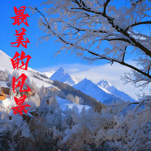 白宁 - 最美的风景
