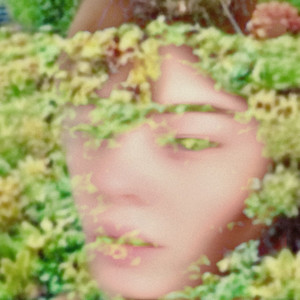 Upon Silver Green by AVRIL