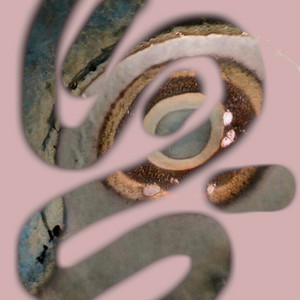 Esclavo MIDI