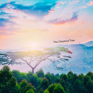 The Chestnut Tree