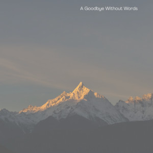 A Goodbye Without Words by Lorin Peyo