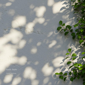 Sunlit Smile by Jeon Su Yeon