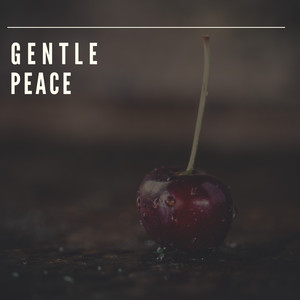 # 1 A 2019 Album: Gentle Peace album