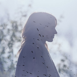 Big Sky by India Bourne