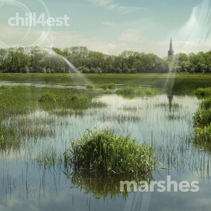 Marshes by Chill4est