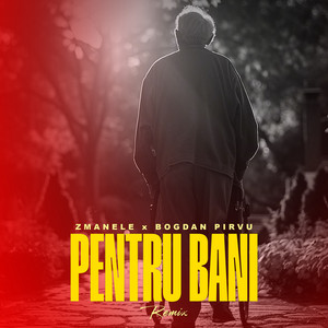 Pentru bani (Remix) by Zmanele, Bogdan Pirvu