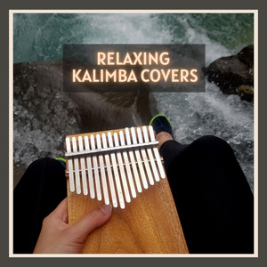 Kill Bill - Kalimba by Varenya Collective    