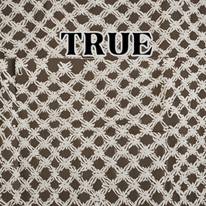 True by Terry Sprague