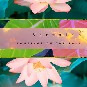 The Beauty of a Quiet Day - Solo Version by Vantalis