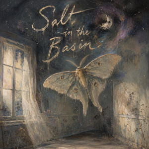 Salt in the Basin by Jodi Symmonds