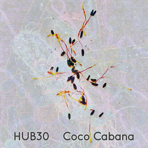Coco Cabana by Hub30