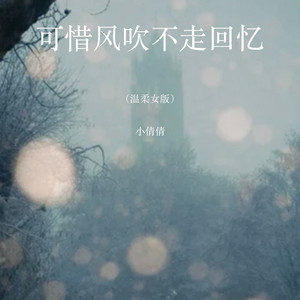 可惜风吹不走回忆 - 温柔女版 by 周倩
