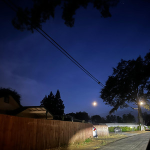 me or the road by camelia