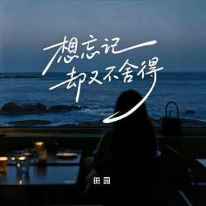 想忘记却又不舍得 - DJ默涵版 by 田园