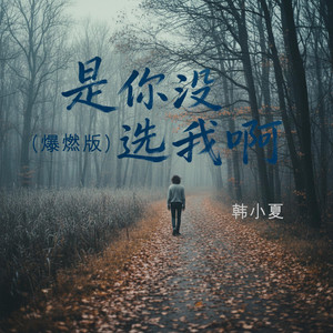 是你没选我啊 (爆燃版)