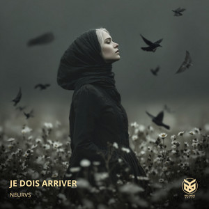Je dois arriver by Neurvs