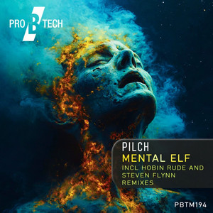 Mental Elf - Hobin Rude Remix by Pilch, Hobin Rude