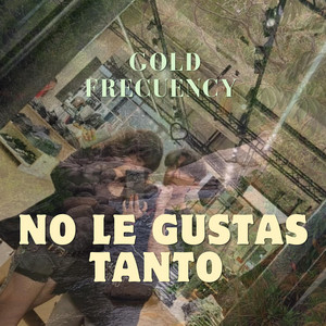 No le gustas tanto by Gold Frecuency