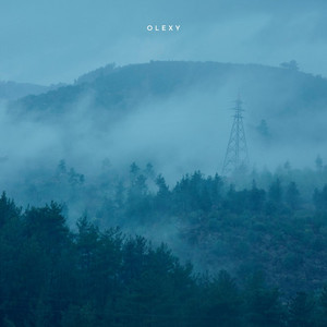Rain in the Forest