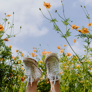 ROZALIND - Emotional Sur