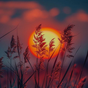 Amor De Luna by Aeris
