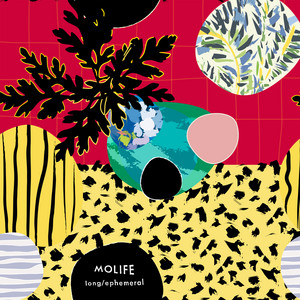 Long by Molife