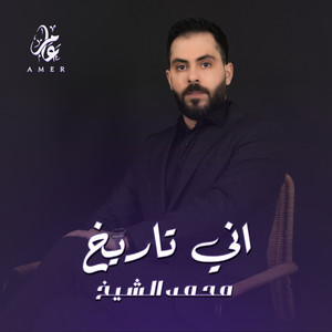 Mohamed El Shaek - اني تاريخ