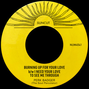 Burning Up For Your Love by Perk Badger