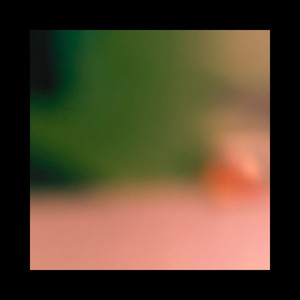 pomelo by lorleaf