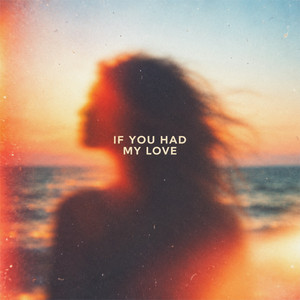 If You Had My Love by Nico Sol