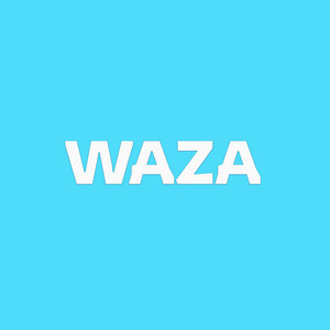 Proverdoz Beatz - waza