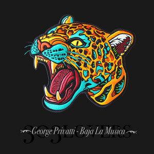 Baja la Musica by George Privatti