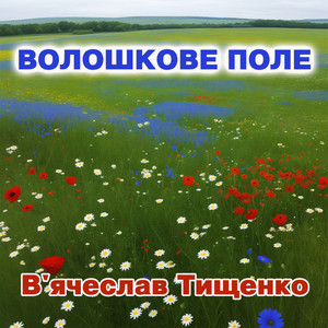 В'ячеслав Тищенко — Волошкове поле