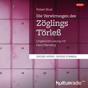 Die Verwirrungen des Zöglings Törleß (Ungekürzte Lesung)