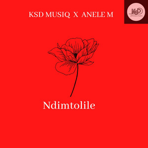 Ndimtolile