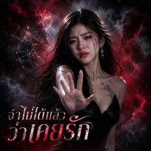 จำไม่ได้แล้วว่าเคยรัก by พักใจสตอรี่