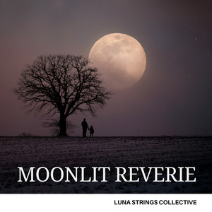 Starlight Elegy by Luna Strings Collective