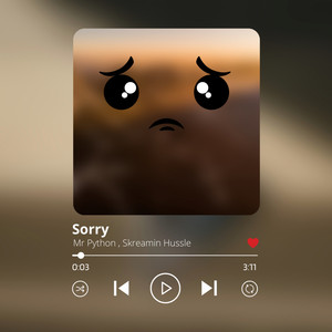 Sorry by Mr Python, Skreamin Hussle