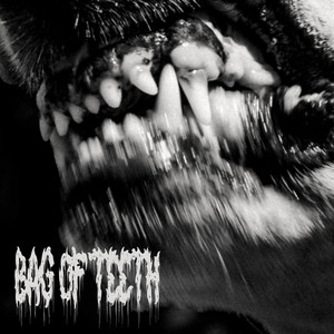 Special Grade by Bag of Teeth