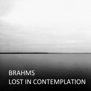 Brahms: Lost in contemplation album