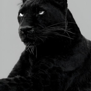 Adham Nabulsi - Noskha Mennak