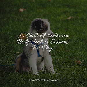 50 Chilled Meditation Body Healing Sessions For Dogs album